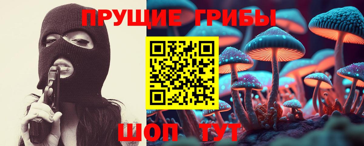 Псилоцибиновые грибы MAGIC MUSHROOMS  Вход с VPN  Новокузнецк 